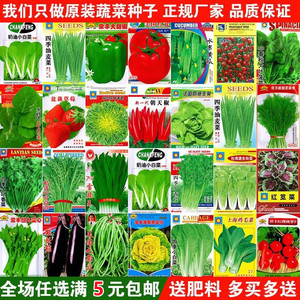 【开群福利】蔬菜种子四季播盆栽阳台菜种子